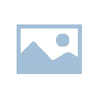 2025 年“浦江·中国书画艺术周”开启新篇